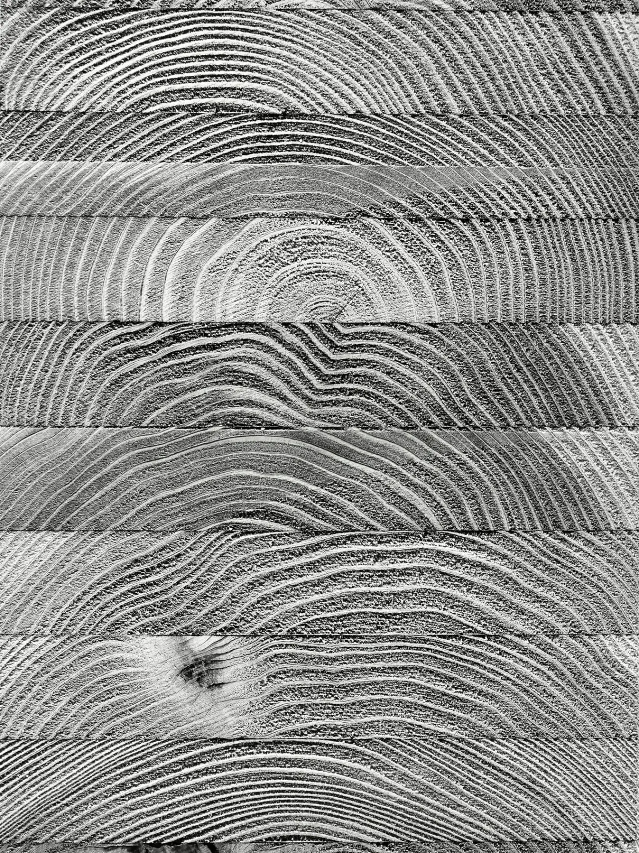 Slab face at the yard.