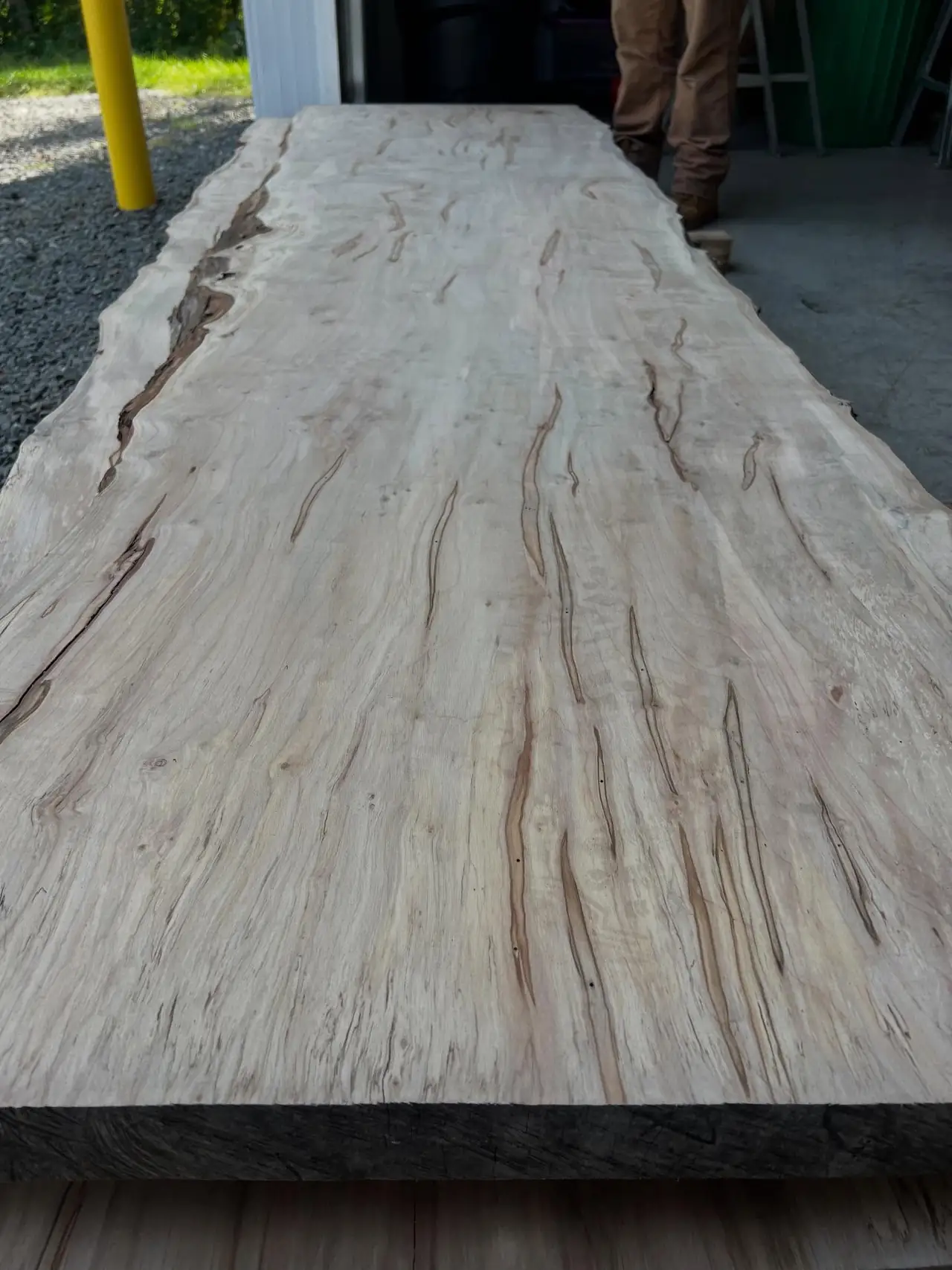Wide spalted maple slab with dark spalt lines, laid flat.