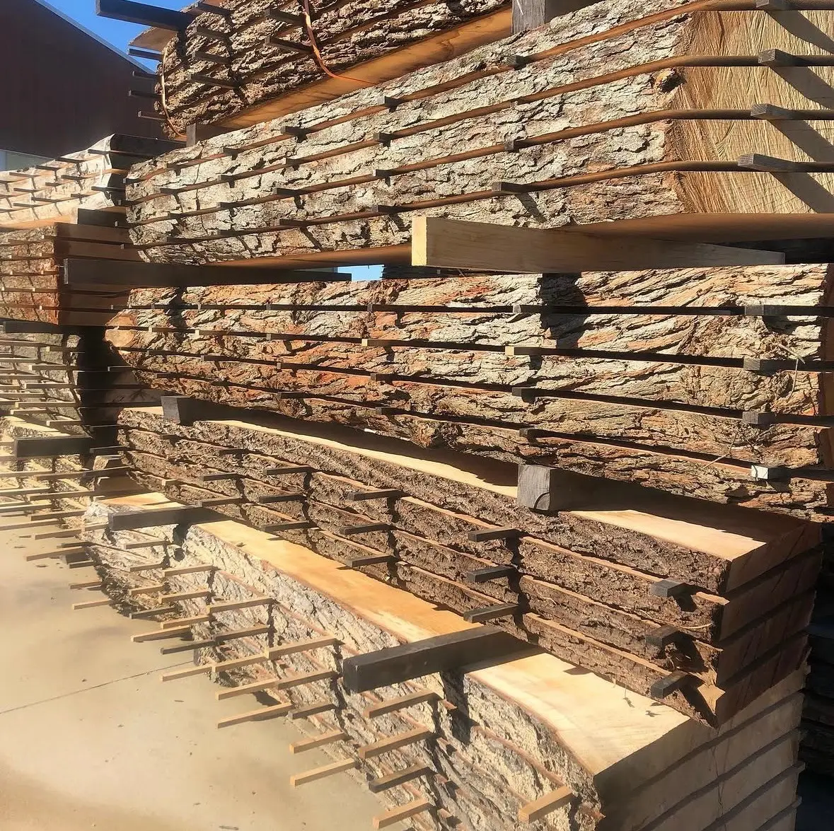 Live-edge slabs in sticker stacks in the outdoor yard.