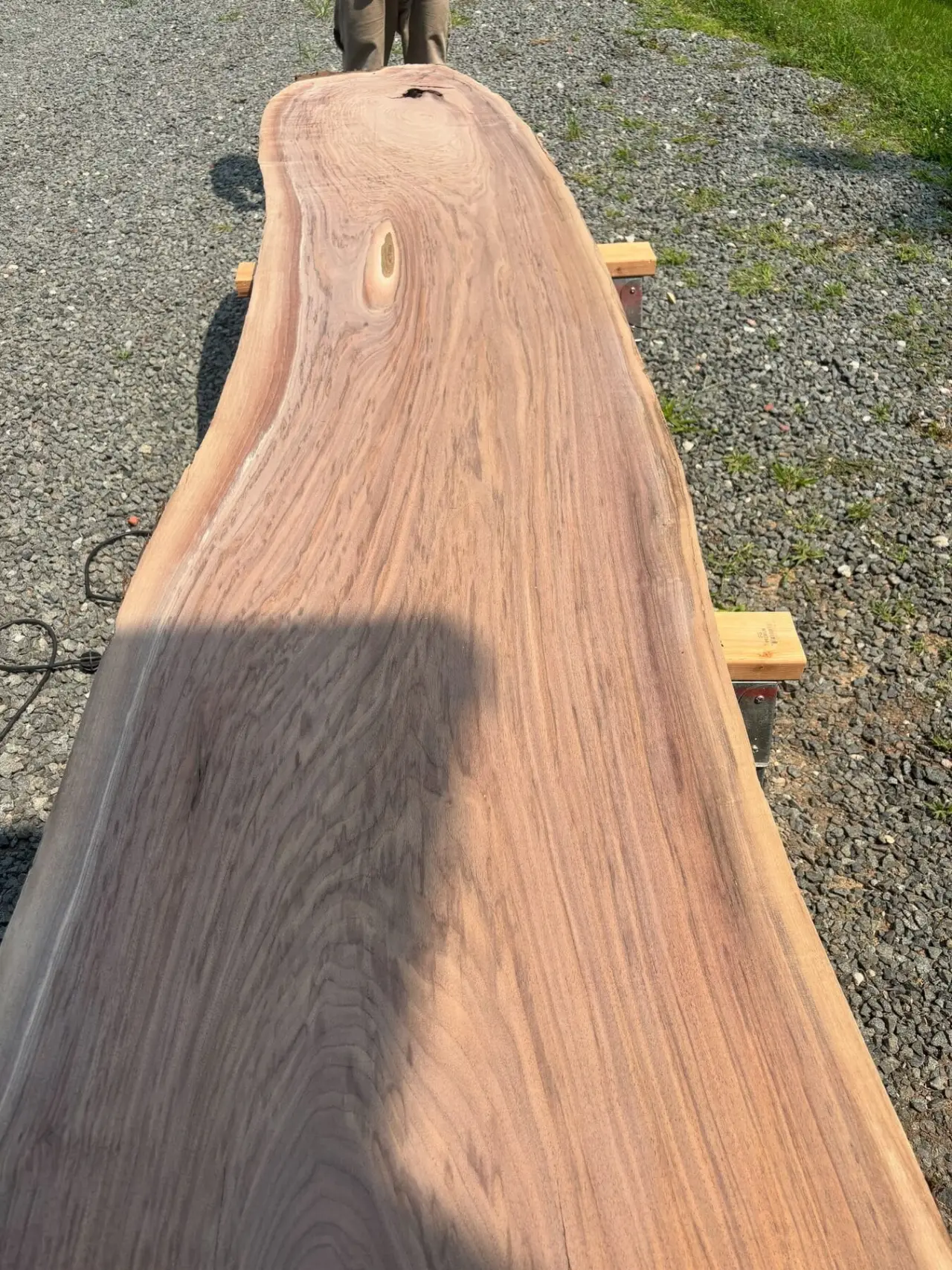 Walnut live-edge slab outdoors at the yard.